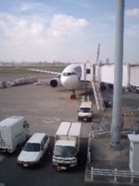 飛びましたo(^-^)o