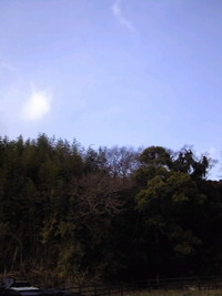 天気予報に反して…