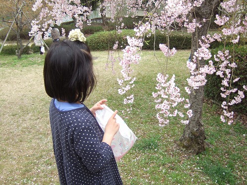 図書館前にて、お花見