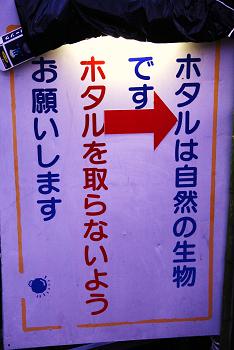 乱舞♪