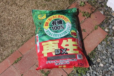 春間近