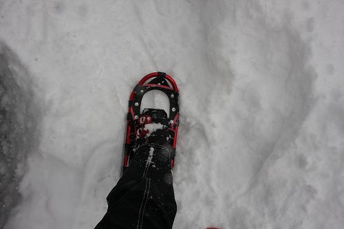 季節外れの大雪　斑尾高原スキー旅行　３日目