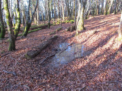 南ア深南部絶景地　バラ谷の頭　登山編