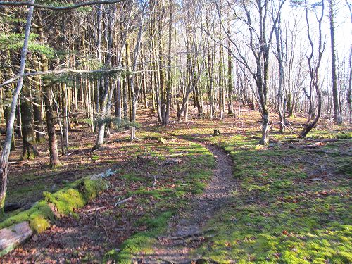 南ア深南部絶景地　バラ谷の頭　登山編