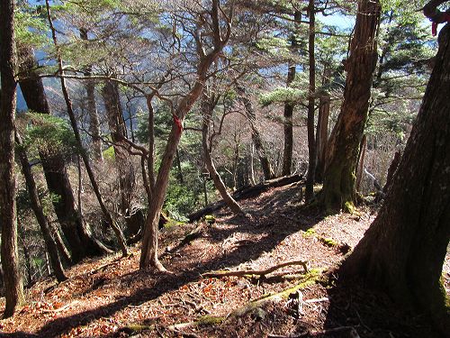 南ア深南部絶景地　バラ谷の頭　登山編