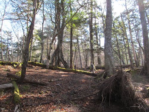 南ア深南部絶景地　バラ谷の頭　登山編