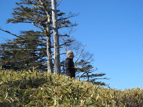 南ア深南部絶景地　バラ谷の頭　登山編