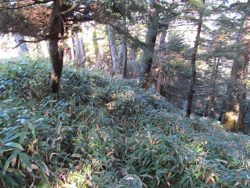 南ア深南部絶景地　バラ谷の頭　登山編