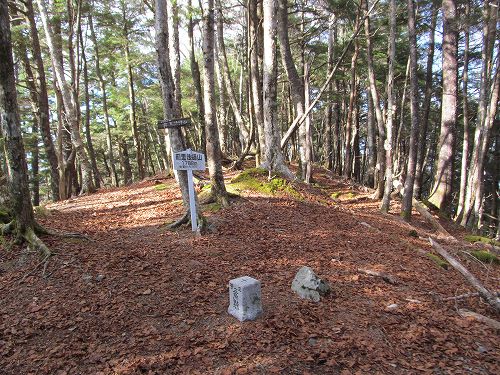 南ア深南部絶景地　バラ谷の頭　登山編