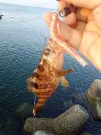 ８月１８日：中央部