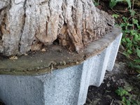 タイミング良すぎませんか？ 2011/08/28 08:08:00