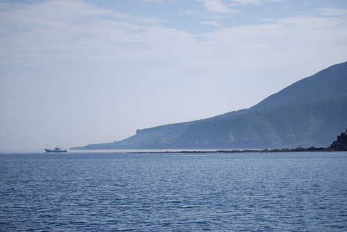 夏！　海！と言えば。