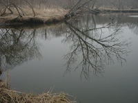 Ｔ幌　下流 2008/04/19 08:28:22