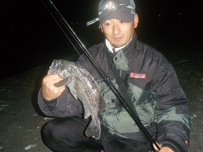 溜まってます・・・・・・・