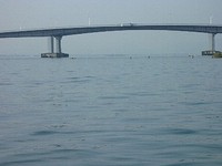 琵琶湖のガイド