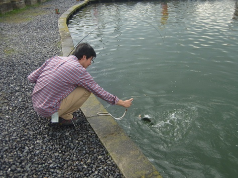 朝霞釣行（2012.10.6）