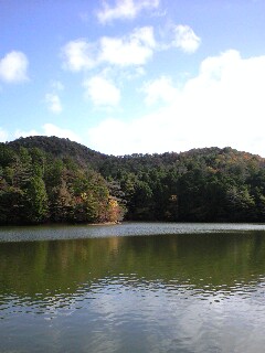 紅葉の嵐山ＦＡ