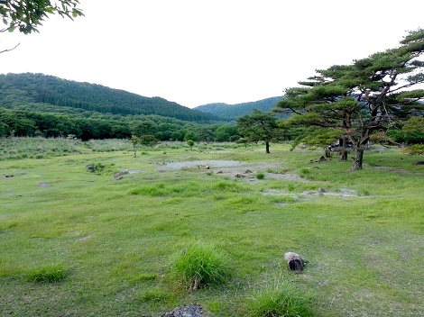 峰山高原キャンプ場~♪