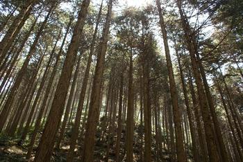 なか・やちよの森公園　～トレッキング練習～