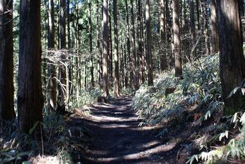 金剛山トレッキング　　～初！トレッキングデビュー～