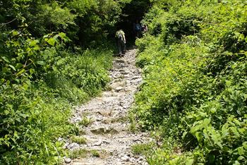 初！六甲山最高峰(931m)登山　～芦屋川から有馬温泉走破～