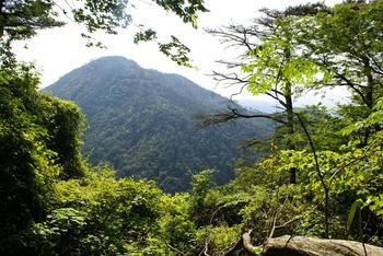 初！六甲山最高峰(931m)登山　～芦屋川から有馬温泉走破～