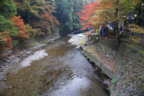 紅葉＠神護寺　