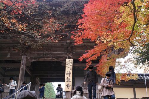 紅葉＠神護寺　