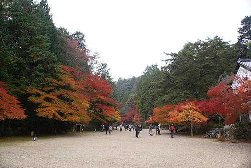 紅葉＠神護寺　