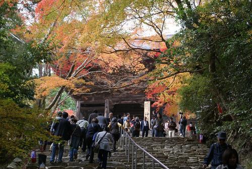 紅葉＠神護寺　