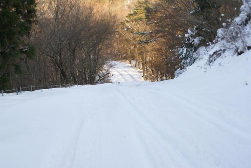 ホワイト大野山