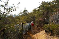 息子と登山part5　～2011年初山歩き　中山縦走～