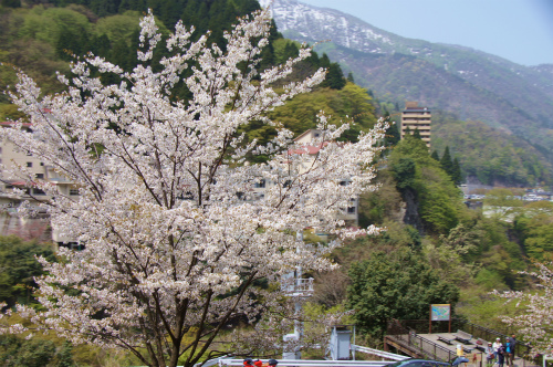 割山森林公園天湖森ファミキャン　～後半：黒部峡谷トロッコ編～