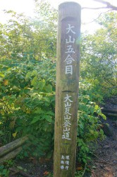 息子と登山part10　～日本百名山　大山～