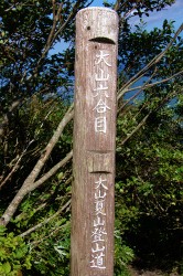 息子と登山part10　～日本百名山　大山～