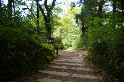 息子と登山part10　～日本百名山　大山～