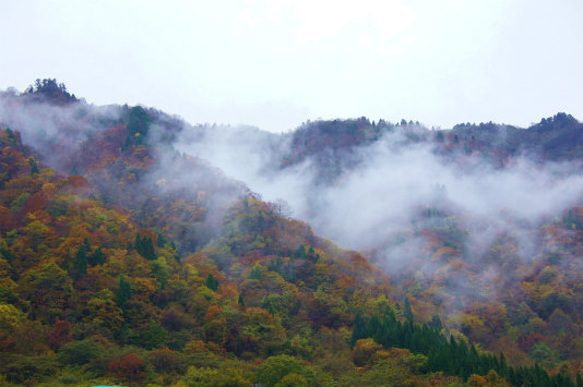 息子とキャンプpart5　～兵庫県最高峰　氷ノ山登山＆キャンプ～