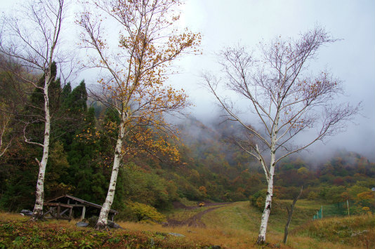 息子とキャンプpart5　～兵庫県最高峰　氷ノ山登山＆キャンプ～