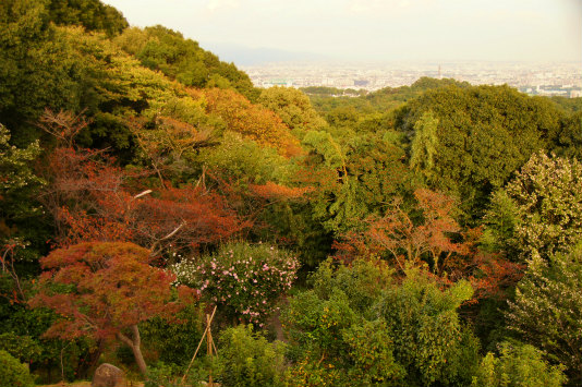 低山お散歩ハイキング