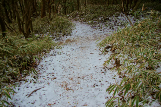 息子と登山part12　～新春山歩き@摩耶山～