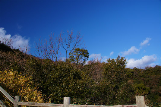 息子と登山part12　～新春山歩き@摩耶山～