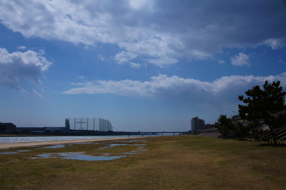 またまた武庫川ポタ