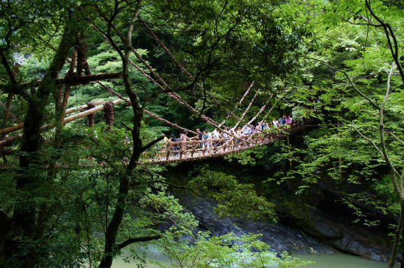 川遊び旅行　～四国・穴吹川3日目　祖谷渓へ～