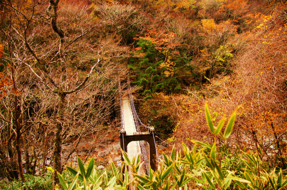 紅葉のつもりが冬山歩き？　　～極寒の大台ケ原～