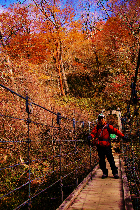 紅葉のつもりが冬山歩き？　　～極寒の大台ケ原～