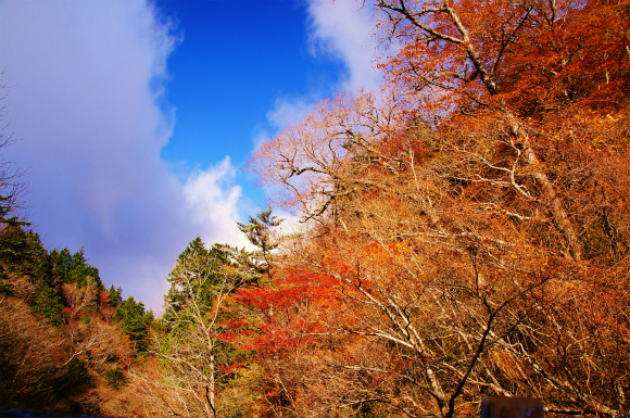 紅葉のつもりが冬山歩き？　　～極寒の大台ケ原～