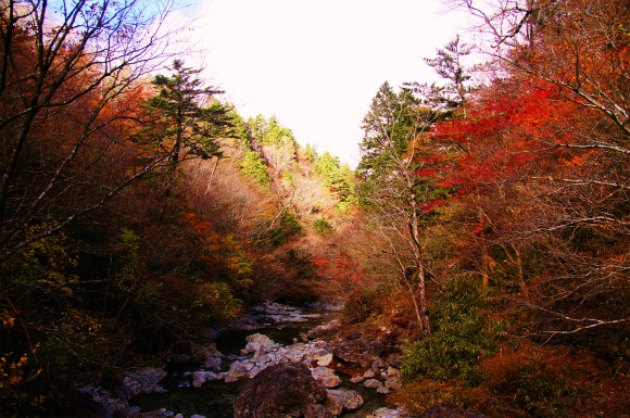 紅葉のつもりが冬山歩き？　　～極寒の大台ケ原～