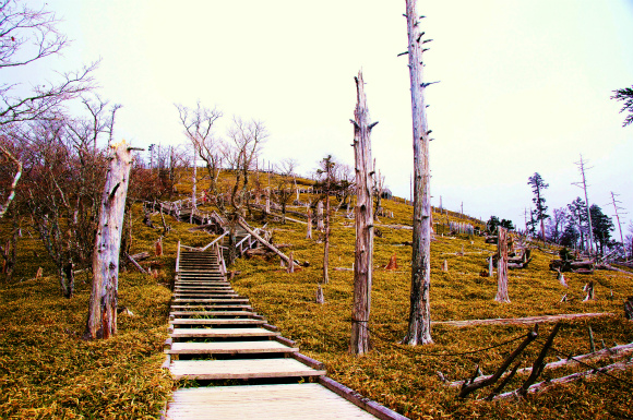 紅葉のつもりが冬山歩き？　　～極寒の大台ケ原～