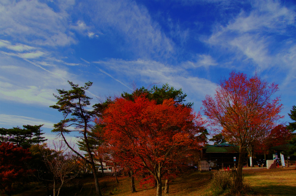 お山でてっこつ初張り　～やっぱ重い。。。～