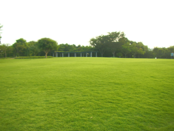 早朝ポタリング　～武庫川→鳴尾浜臨海公園～